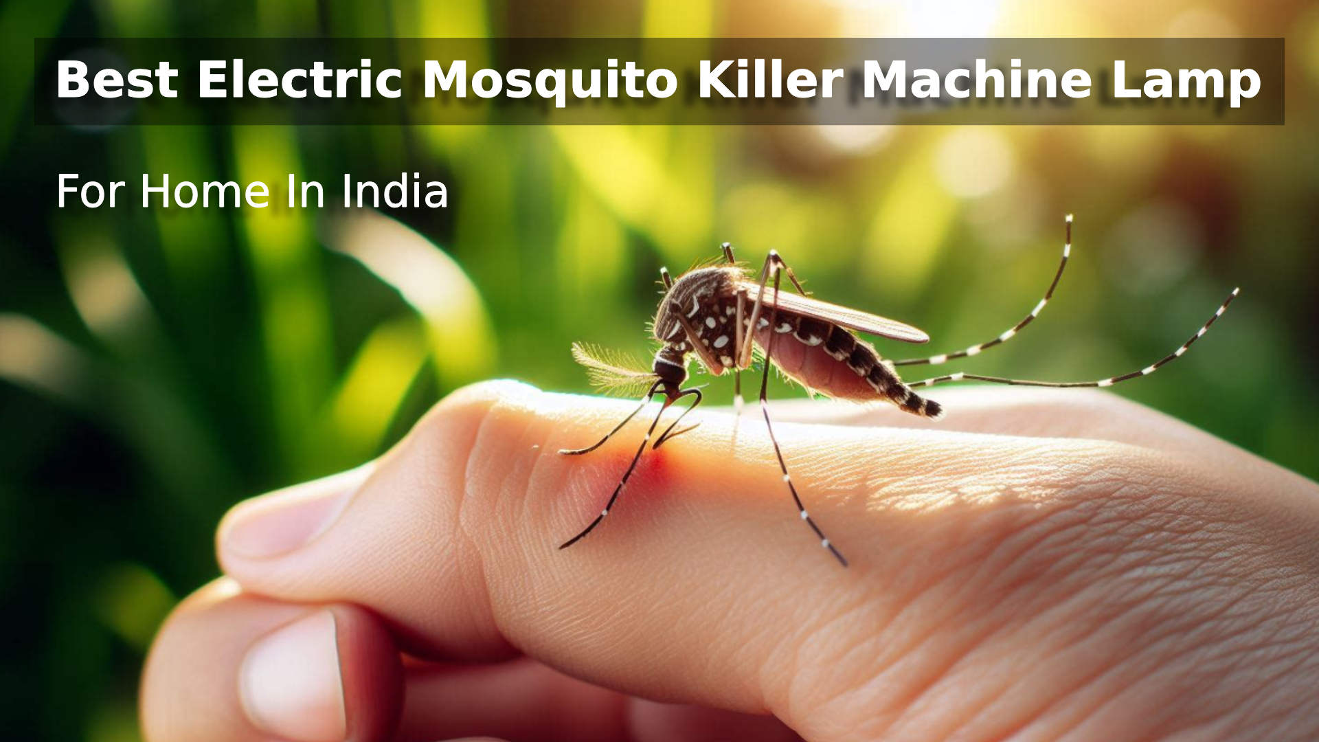 Best Electric Mosquito Killer Machine Lamp For Home In India
